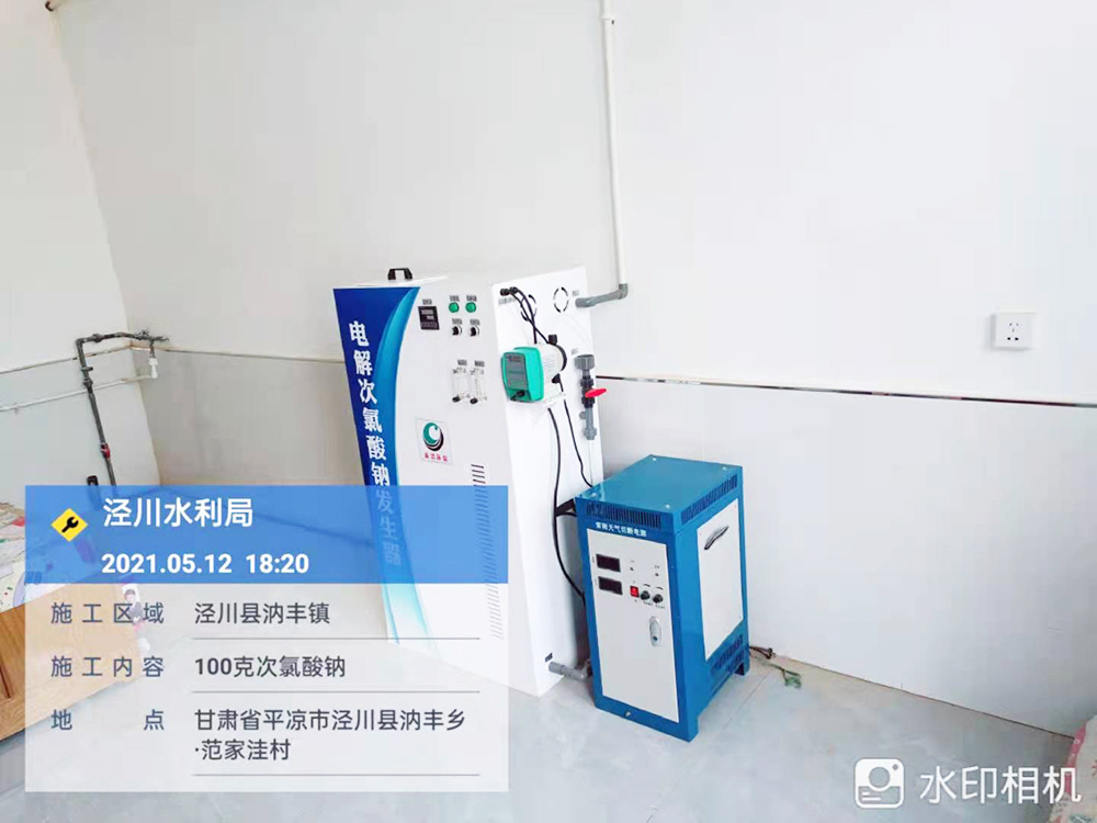 甘肅省平?jīng)鍪袥艽h水利局100克次氯酸鈉發(fā)生器